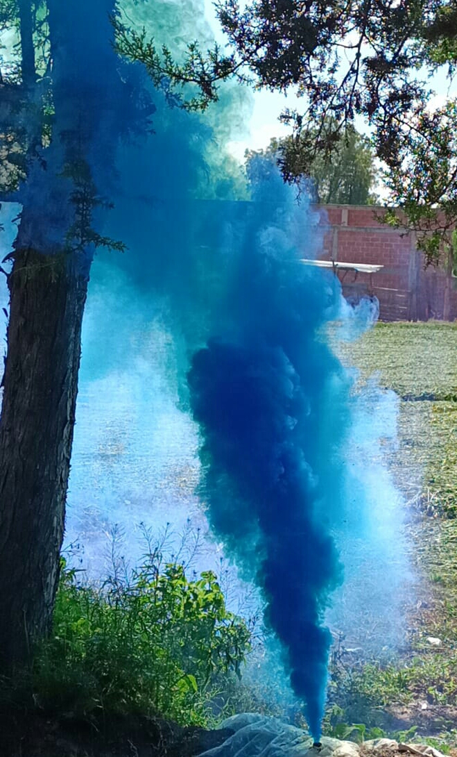 Humo
